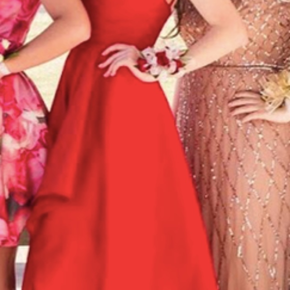 Alyce Paris Prom Dress - Picture 4 of 6